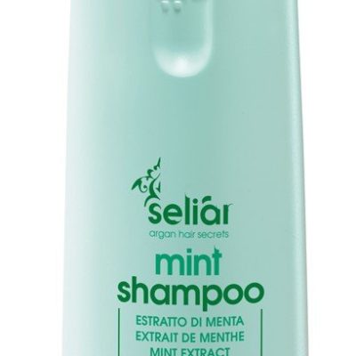 Mint Shampoo | Echos Line